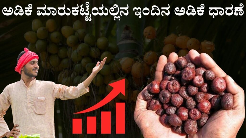 karnataka adike dara 03 september 2025
